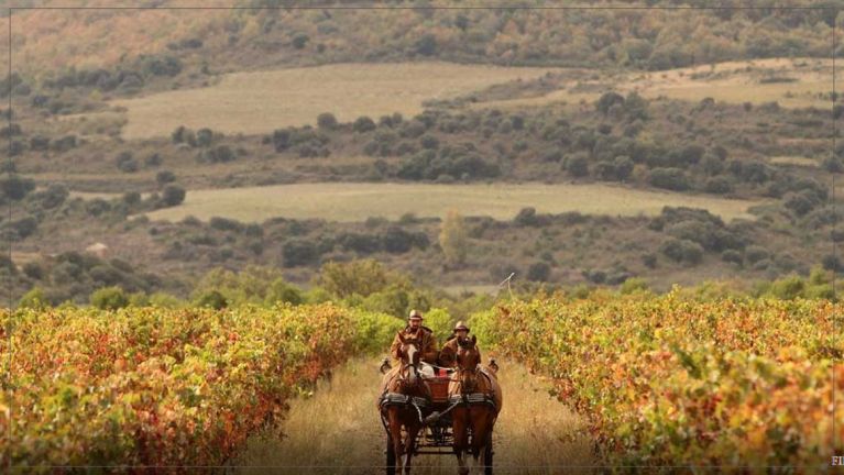 rioja-oriental-pisa-fuerte-hay-que-prolongar-las-visitas-durante-todo-el-ano